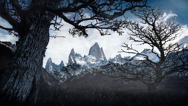 Patagonia