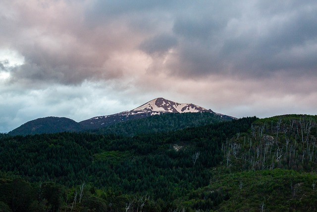 Patagonia
