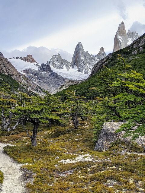 Patagonia