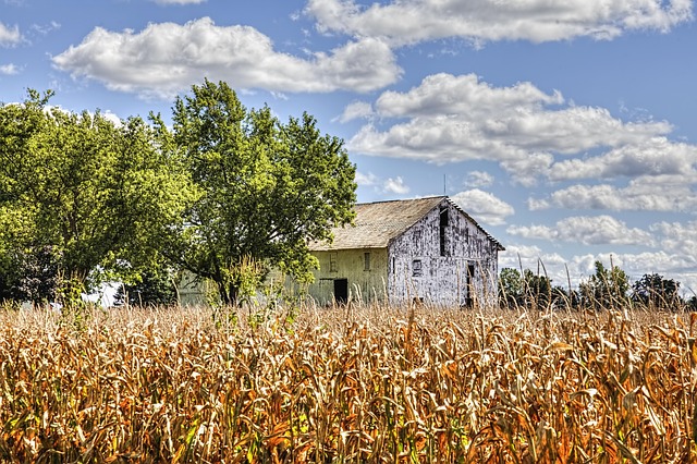 Unveiling Globe: A Historical Mining Town’s Modern Real Estate and Cultural Charm