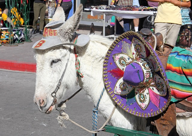 Nogales