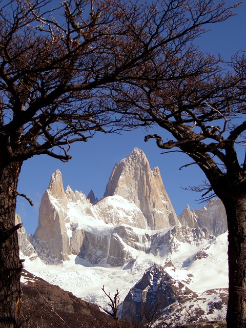 Patagonia