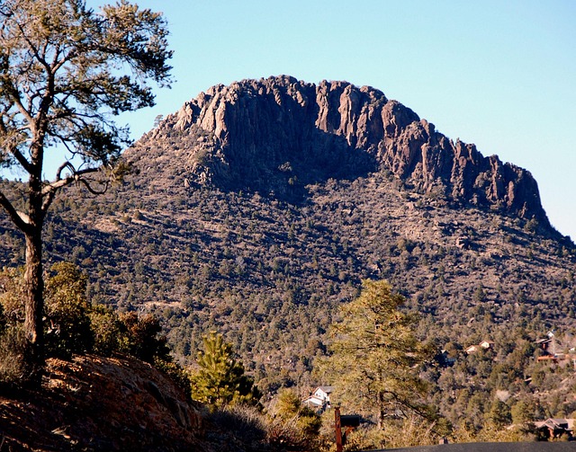 Prescott
