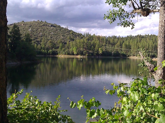 Prescott