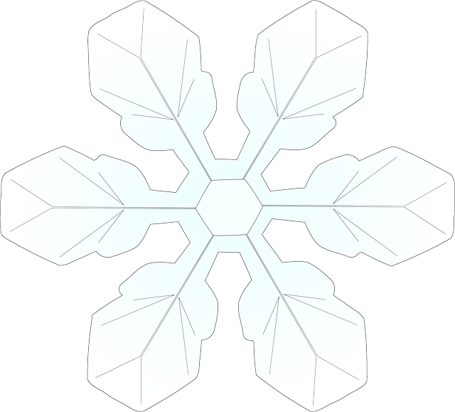 Snowflake