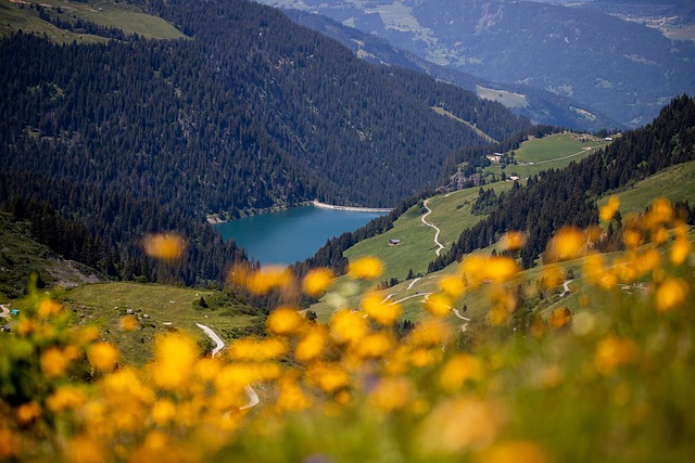 Star Valley