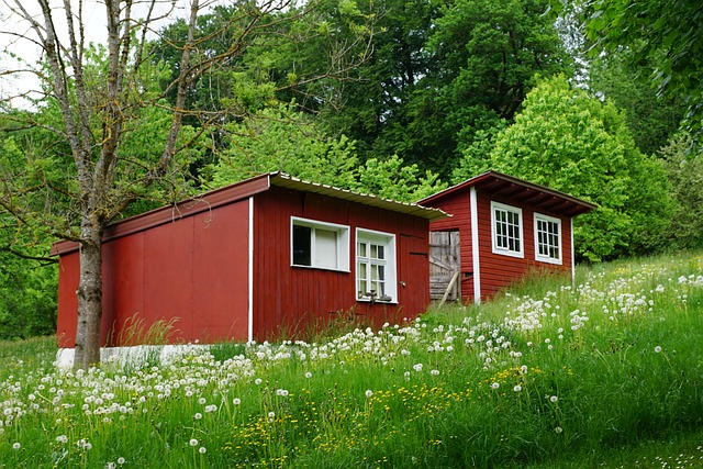 Tiny-Homes