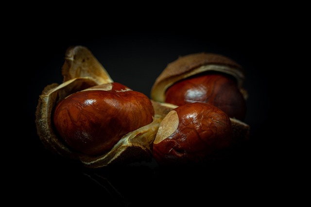 buckeye-640x480-50950193.jpeg