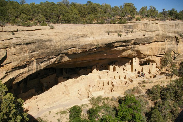 camp-verde-640x480-47756586.jpeg