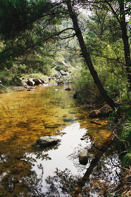 Cave Creek