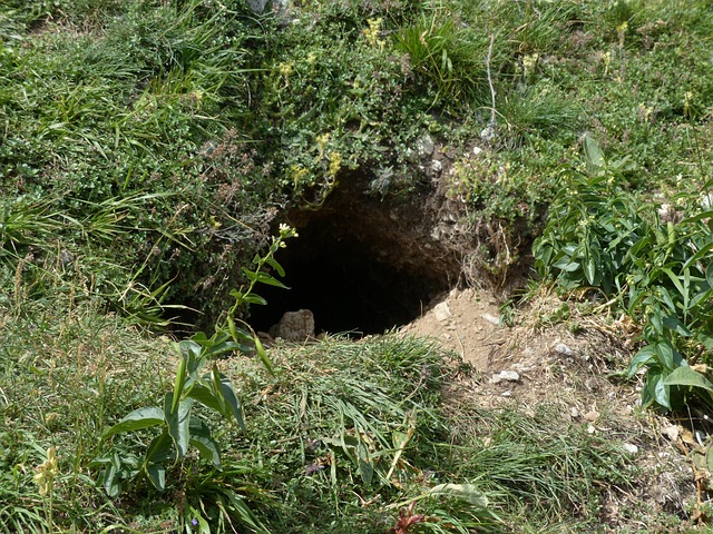 Cave Creek