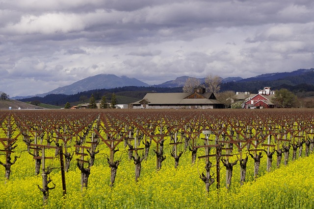 Chino Valley