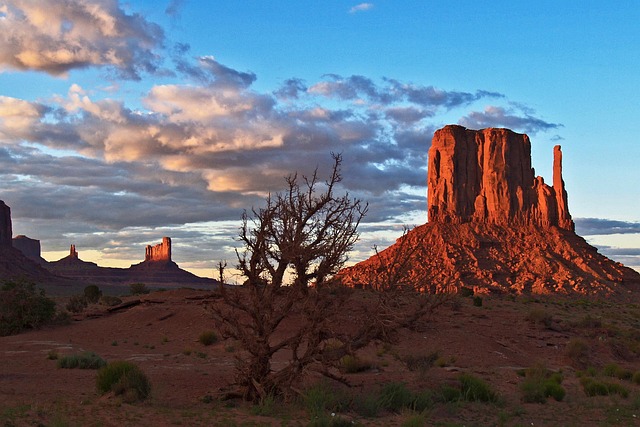 Chino Valley