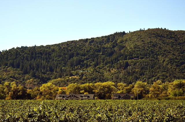 Coconino County