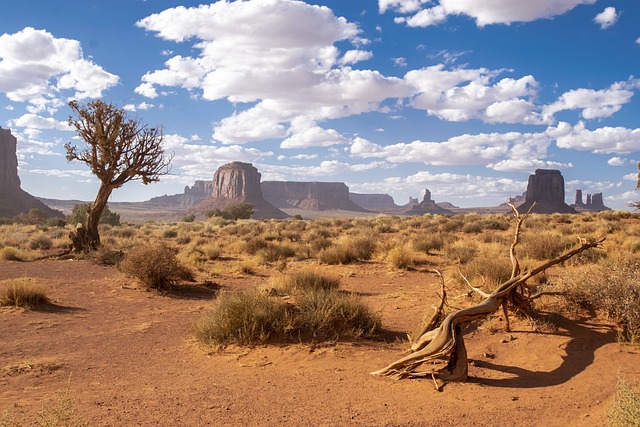 Desert Escapes: Unveiling Stunning Real Estate and Celestial Spectacles