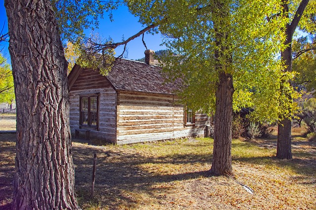 cottonwood-640x480-20427442.jpeg