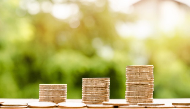 Debt-Income