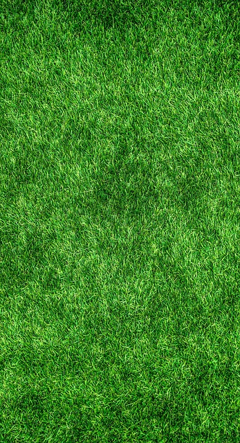 Eco-Landscaping