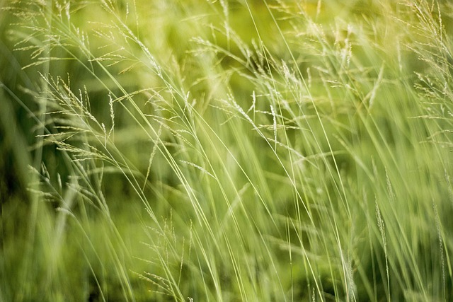 Eco-Landscaping