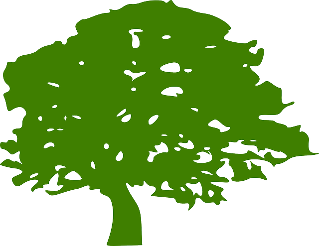eco-landscaping-640x480-79540877.png
