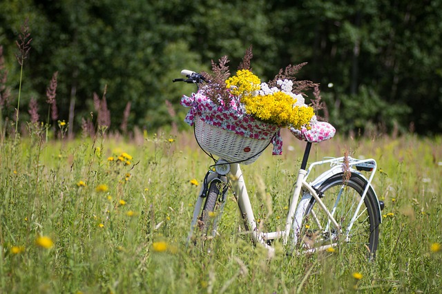 Economic-Cycles