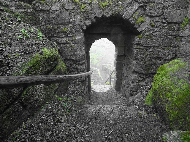 Exit-Strategies