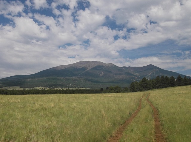 flagstaff-640x480-35638632.jpeg