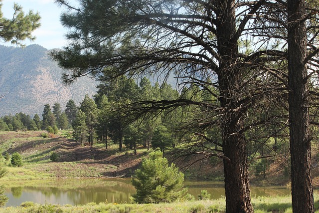 Flagstaff