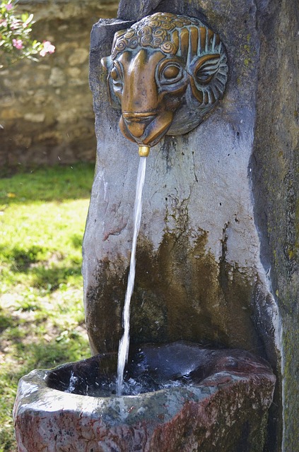 fountain-hills-640x480-20325853.jpeg