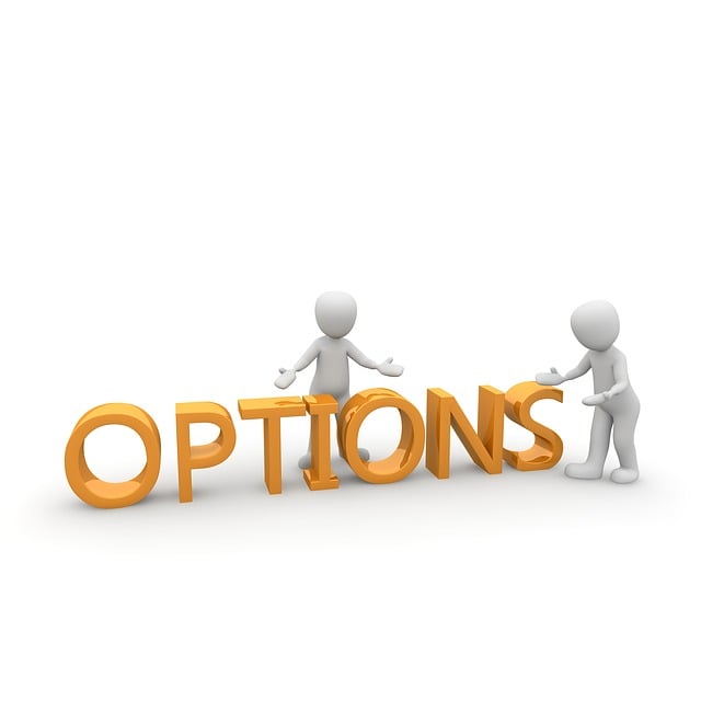 FSBO-Option