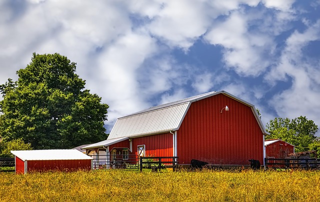 graham-county-640x480-18908909.jpeg