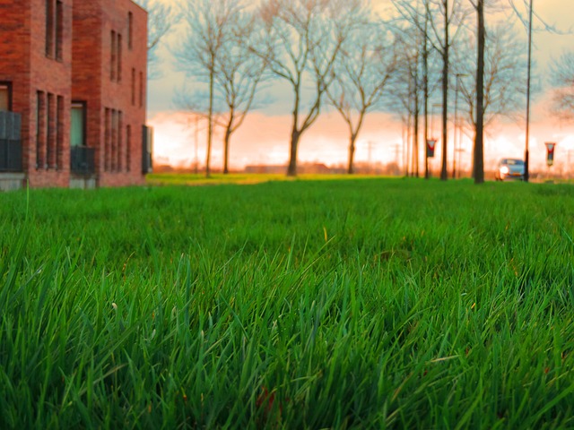 Green-Building