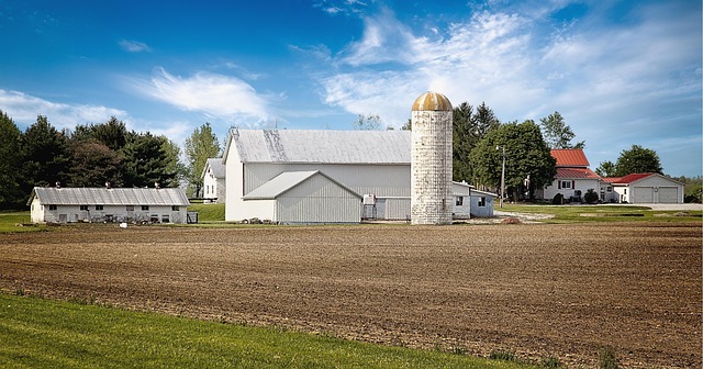 Greenlee County