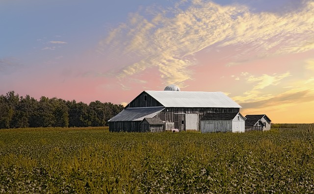 Discovering Nature’s Gems: Scenic Canyons and Valleys in Real Estate