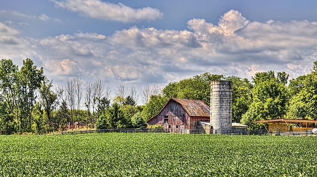 Greenlee County