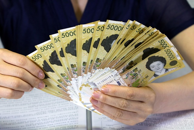 HELOC-Loan