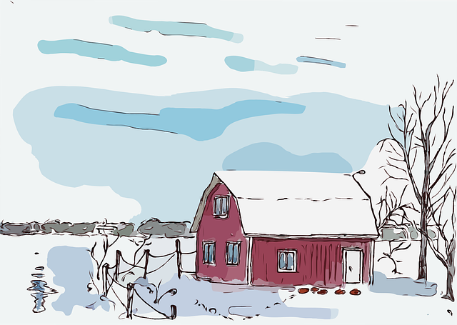 House-Flipping