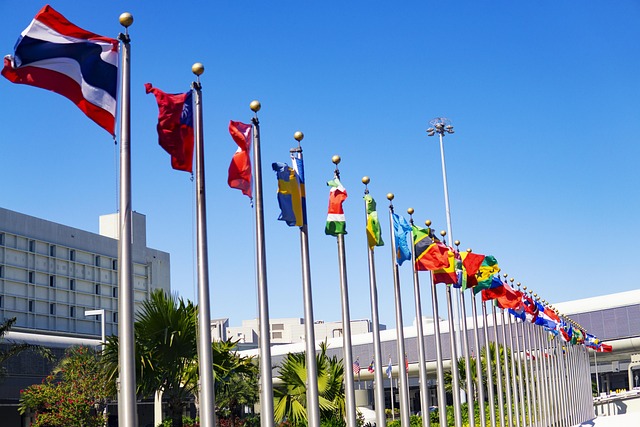 international-buying-640x480-52417252.jpeg