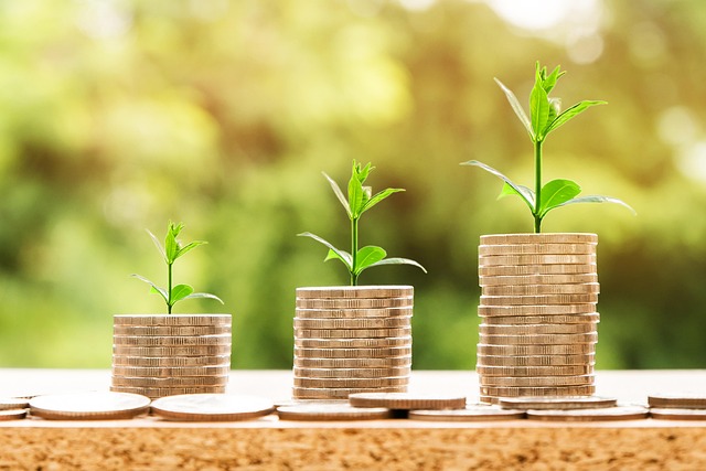 Investment-ROI