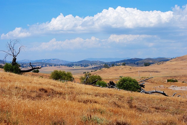 la-paz-county-640x480-81151434.jpeg