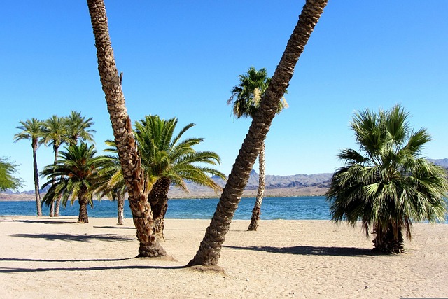 Lake Havasu City