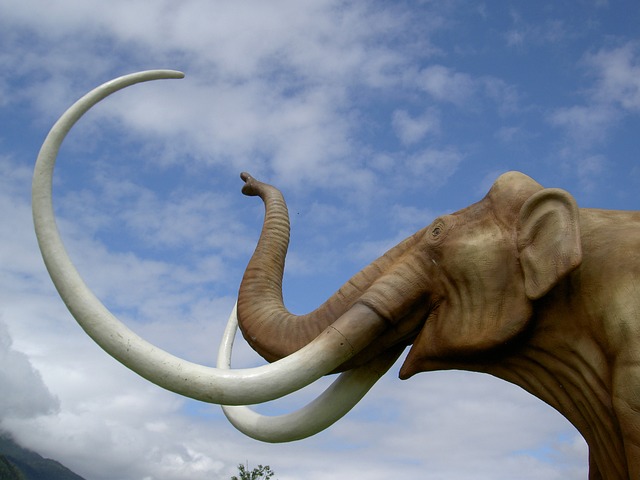 Mammoth