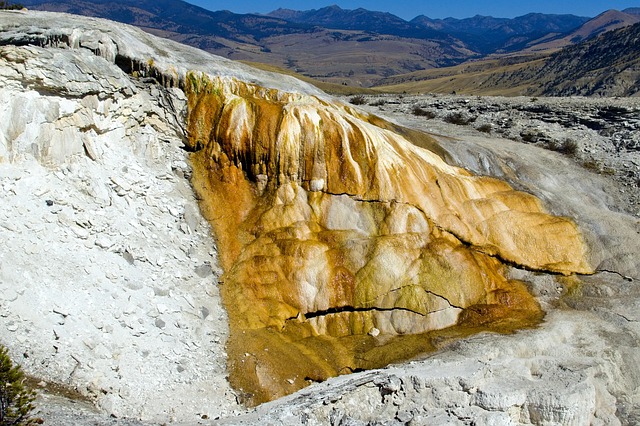 Mammoth