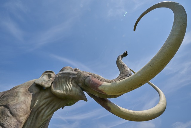 Mammoth