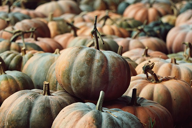 Predicting Buyer Interest Fluctuations in Real Estate: Trends & Seasons