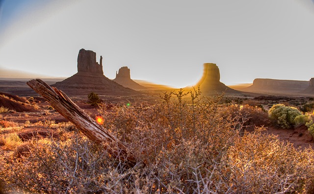 Mesa