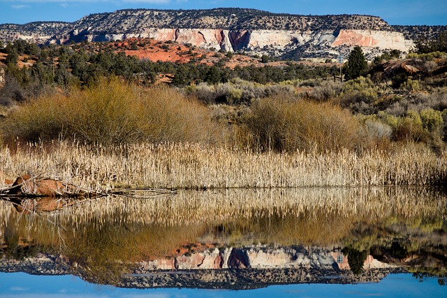 Mesa