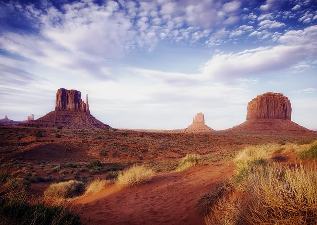 Mesa