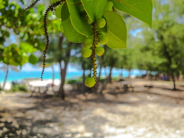 Miami