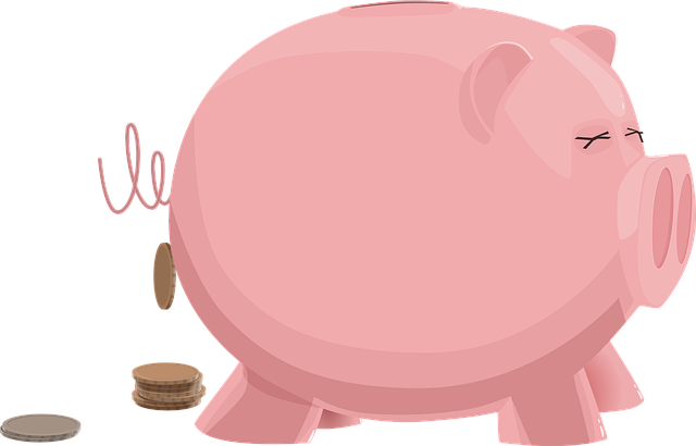Operating-Budget